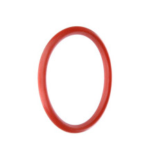 Ascaso Silicone Ring 37.69 x 3.53