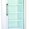 Холодильный шкаф Ugur S 300 L (стекл.дверь) - фото 1
